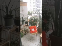 Ανοξείδωτο ατσάλι βαθμού 316 Με κλιπ Διασχίζοντας την ασφάλεια για αόρατη σχάρα μπαλκονιού