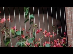 Αόρατη προστασία 316 παιδιών καγκέλων μπαλκονιών ανοξείδωτο