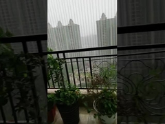 Οικία Αόρατη Σταθερή Ασφάλεια Grills Αντί σκουριάς σύρμα για την ασφάλεια των παιδιών & κατοικίδια ζώα '