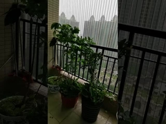 Ανεμπόδιστη θέα Βαλκόνι Σχάρα με χωρητικότητα 100kg Βαλκόνι Αόρατη Σχάρα