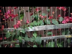 Σύγχρονη κοινωνία σχεδιασμός μπαλκόνι αόρατη σχάρα με υπηρεσία τρύπησης και χωρητικότητα φορτίου 100kg