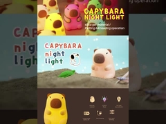 Ωραίο νυχτερινό φως λάμπα