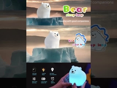 Ωραίο νυχτερινό φως λάμπα