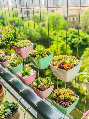 2.0mm 316 Ατσάλινο σύρμα πολυώροφο κτίριο Βαλκόνι/Παράθυρο Αόρατη Σωτήριος Διάφραξη