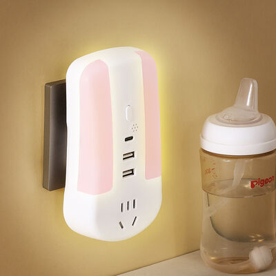 Κίνα Κατασκευαστής OEM Design Voice Control Wall Plug Socket