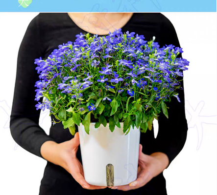 Invisible Grill  Flower Pot Accessories 36pcs Suitable for Balcony Invisible Grille Wire